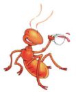 Gotta Love Ants - The Pest that never dies