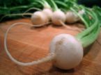 Turnip - Good to eat during summer season