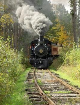 Train Rocks! - a smoking steam engine!