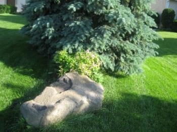 Tree and Rock on lawn - Tree, rock, lawn Tree and Rock on lawn - Tree, rock, lawn