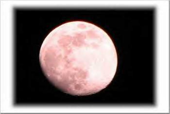 a pink moon  - beautiful pink moon 