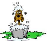 Doggy bath - Oh isn&#039;t doing this FUN?! LOL