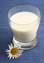 milk - photo of a glass of milk