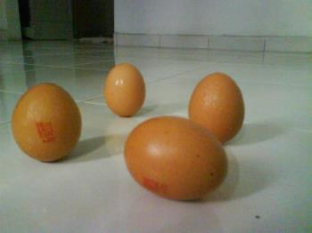 4 eggs, 3 stands 1 falls - There are 4 eggs on the floor. 3 eggs are standing vertically. The 4th one are intentionally laid horizontally to show that the other eggs are actually standing. This was done during dumpling festival in lunar calender of 2008.