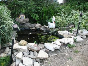 Pond in our backyard - This is one of two ponds in our garden. The gurgling sound from the fountain attracts a variety of birds, frogs and salamanders. They eat insects and help keep our eco-friendly garden in balance without any insecticides.
