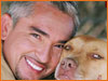 Cesar "Dog Whisperer" - photo of Cesar Millan the Dog Whisperer