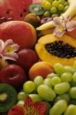 Fruits - They are Healthy