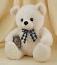 Teddy - Bear Teddy - Bear