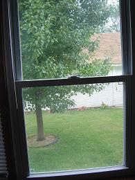 View from my "office" - Flowering pear tree and my little flower garden planted outside my garage, as seen from my computer room.