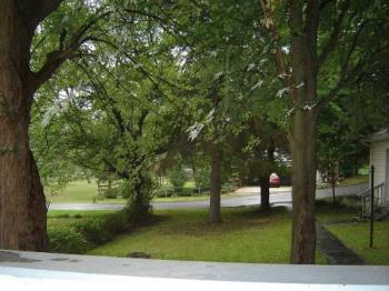 My Front Yard - This is the view from my front porch...
Trees and my yard... Across the street is the neighbors yard.

