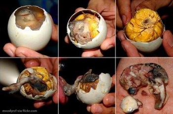 balut - a balut in pateros
