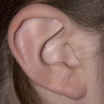 ear - right ear