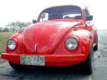 My beetle Macho  - The legendary Macho a Volkswagen Beetle. 