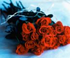 Roses for your anniversary - These roses are for you and your husband for your anniversary. Red simplizes the deep feelings of love one has for the other. Celebrate your anniversary and renew your love for each other.