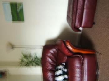 beige carpet in the room with maroon furntiure and - plants, sofa, carpet, doesn&#039;t look as good in pic as it does for real