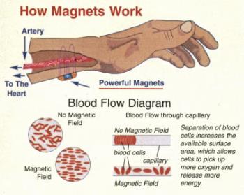 Magnetic Bracelet  - Magnetic Bracelet 
