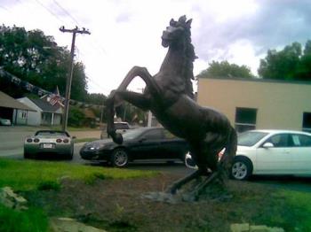 statue of a horse rearing up - I like this one almost the best. I love horses so I am fascinated with this statue. 