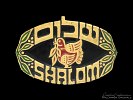 Shalom - Peace - A picture depicting the word &#039;Shalom&#039;, the Hebrew word for &#039;Peace&#039;, and a dove, the symbol of peace.
