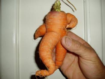 person-shaped carrot - carrot person