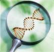genes - biotechnology