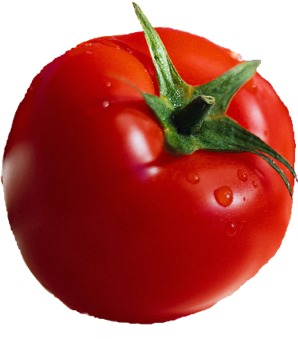 Tomato - Tomato... i dont like to eat them raw.. do you???