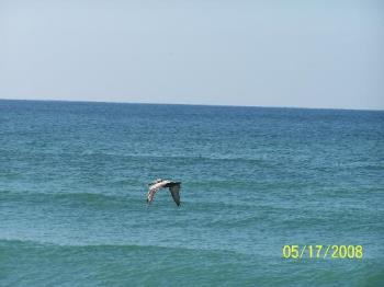 Pensacola Fl - From our trip this spring.