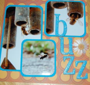 buzz - a scrapbook layout I did this summer of a close up of wasps in my wind chime.
