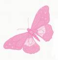 pink butterfly - how cute the color of butterfly is...............
