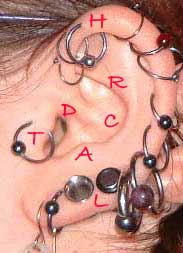 ear - piercing - Ear-piercings