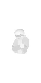  fight scam- bandit - fight scam sites, bandit picture