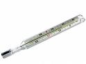 Mercury - Thermometer