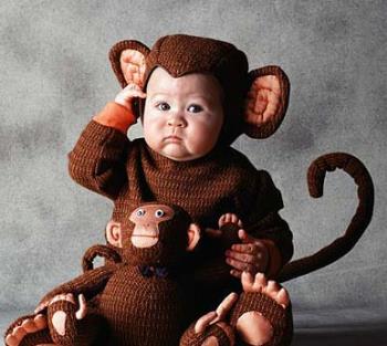 monkey baby - monkey baby, interesting