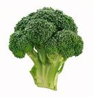 brocolli - good for health