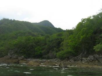 Photo of a Scenery - This is one side of the greenery sorrounding the beautiful La Luz Beach in Laiya, Batangas. This photo could have been more interesting to my sight if my loved ones and myself were there sitting on the rocks beneath. What do you think?