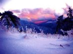 Snowy scene - A picture of some snow.