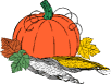 a orange pumpkin with green leaves and a green ste - a orange pumpkin with green leaves and a green stem