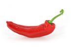 chilli pepper - a piece of chili pepper