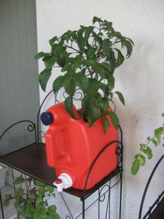 A Planter Made from a Laundry Soap Container - Ever see one of these?
