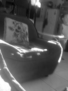 like this one - My five year old kid took this photo like this one - My five year old kid took this photo