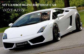 Kissy in her Lambourghini - image of Kissy in her birthday car Kissy in her Lambourghini - image of Kissy in her birthday car