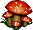 a cluster of red mushrooms - a cluster of red mushrooms a cluster of red mushrooms - a cluster of red mushrooms