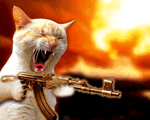 machine gun kitty - machine gun kitty comment photo, love this photo with the animation, there are days i definately feel like this