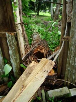 tree fell in yard - A hurricane came through earlier and took a tree out and knocked part of the fence down.