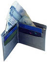 wallet - w/ money