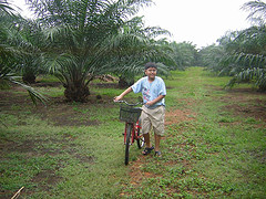 my boy - my boy in our plantation