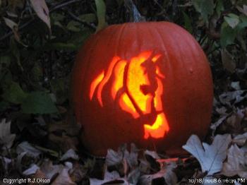 Horses head - This is an awesome job of carving a pumpkin.