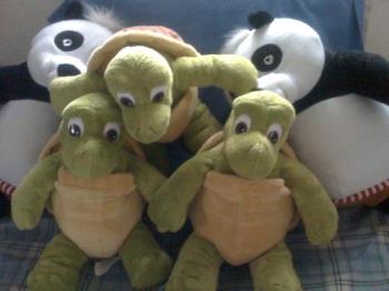 panda and turtles - I love this turtle stuff toys and bought three, I am planning to buy more but the stock were gone