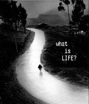 What is Life - Life is beautiful like a car, driven by you!