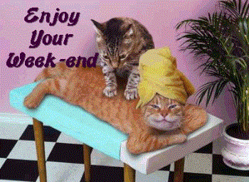 Weekend - Weekend.. Weekend - Weekend..
