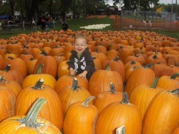 My nephew in a field of pumpkins - I had about 1 second to snap this picture before he turned away, luckily I was prepared!!